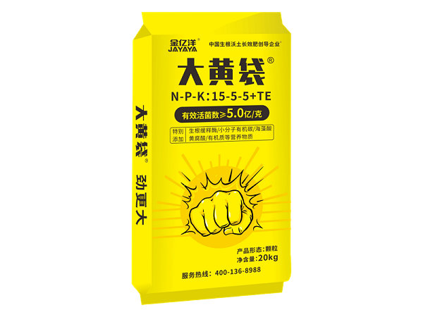 大黄袋_副本