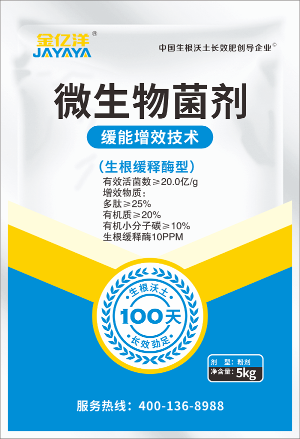 甜菜种植——金亿洋微生物菌剂