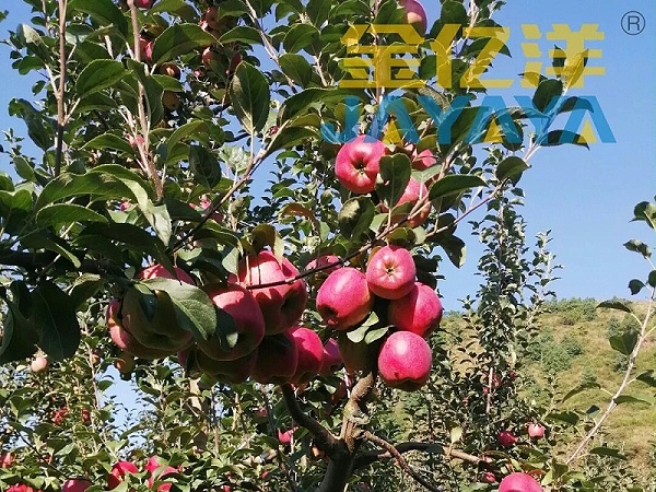 640