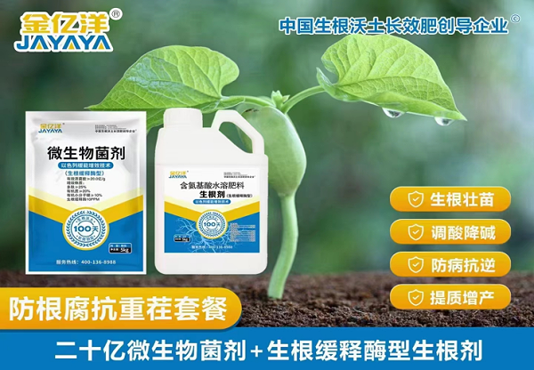 葵花种植-金亿洋防根腐康重茬套餐