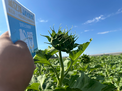 微生物菌剂的作用有哪些