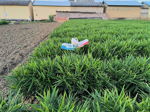 mmexport1756716547047_副本