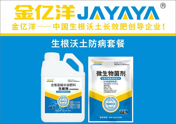 酱用番茄种植技术-金亿洋生根沃土防病套餐