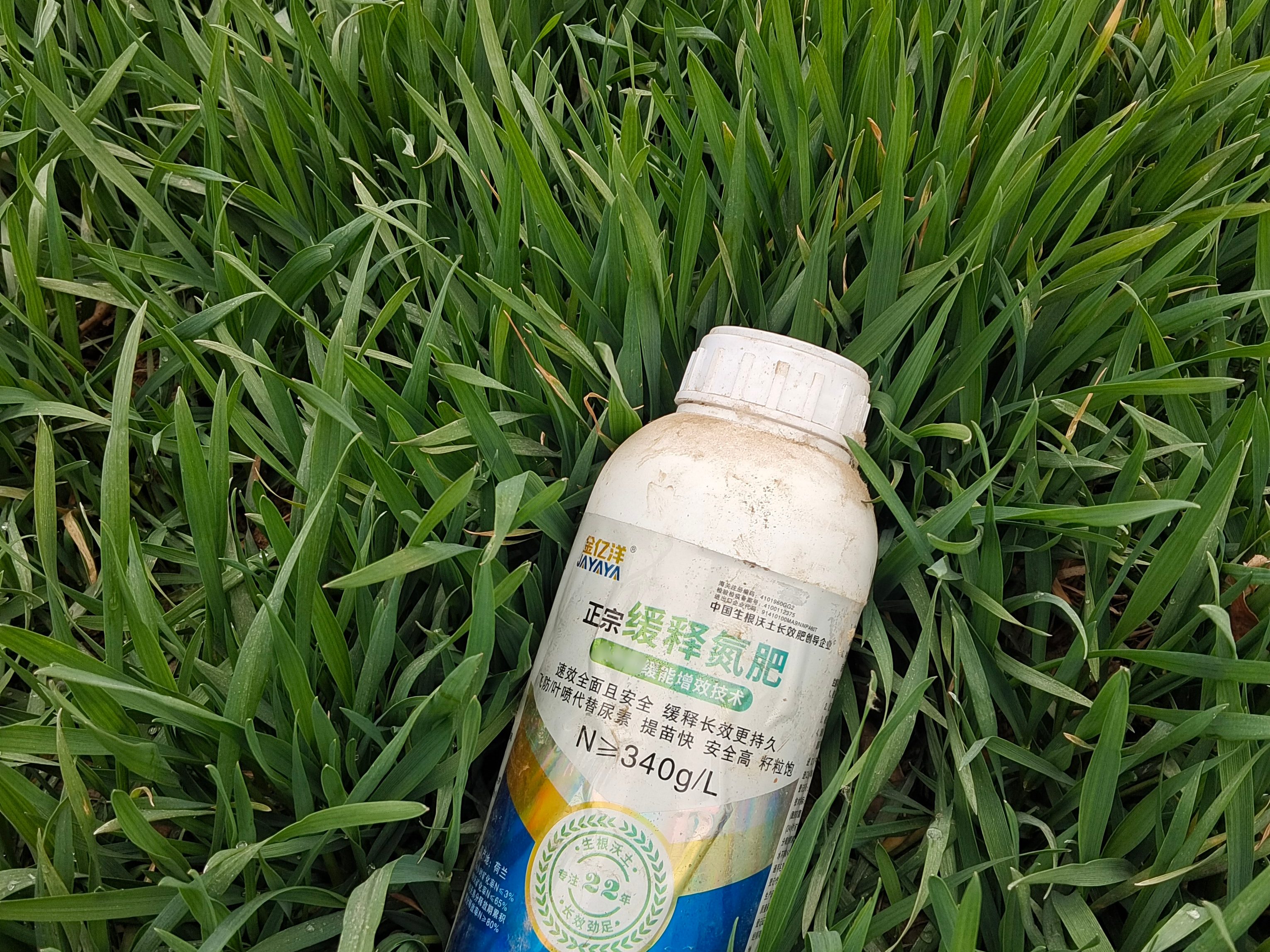 <i style='color:red'>小麦种植</i>：晚播小麦返青期管理要点