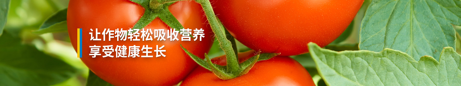 粉剂水溶肥
